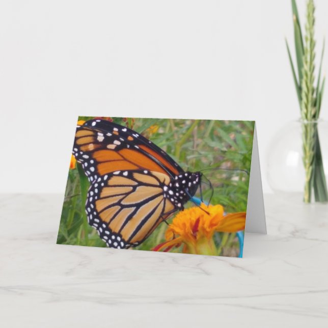 blank inside butterfly card (Front)