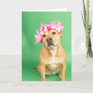 Blank inside card