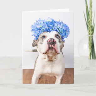 Blank inside card