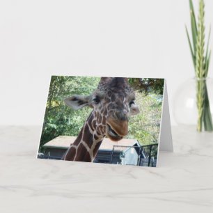 Blank inside giraffe Greeting card