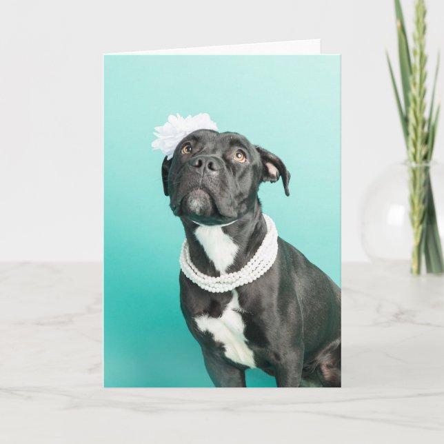 Blank inside greeting card (Front)