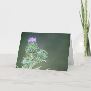 Blank Inside, Pink/Purple Thistle Wildflower Card