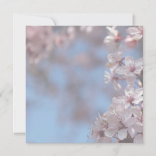 blank invitation, cherry blossoming tree invitation