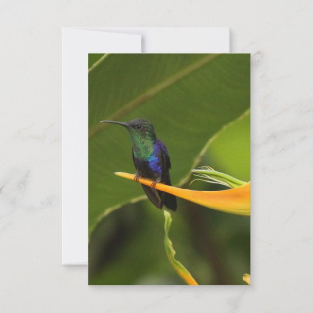 Blank note card (Front)