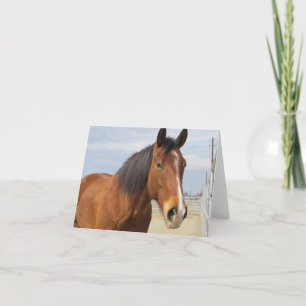 Blank Note Card—Brown Horse Side Card