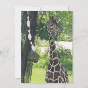 Blank Note Card - Customisable - Giraffe