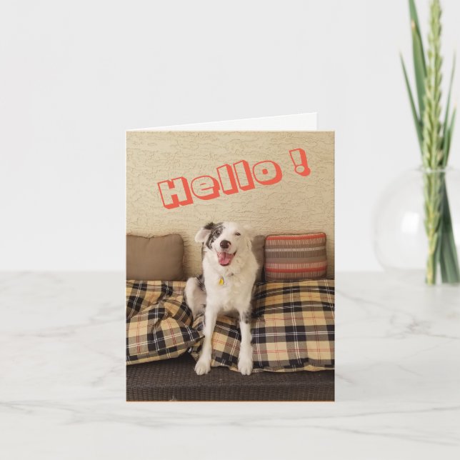 Blank Note Card Dog saying Hello (Front)