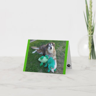 Blank Note Card Dog with Frogs