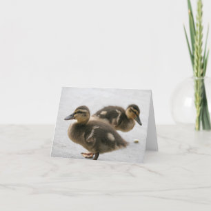 Blank Note Card, Ducklings Card