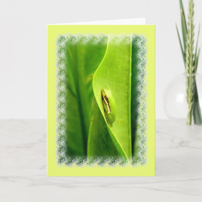 Blank Note Card, Green Tree Frog Card (Front)