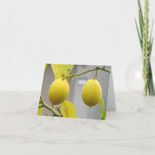 Blank Note Card — Lemons