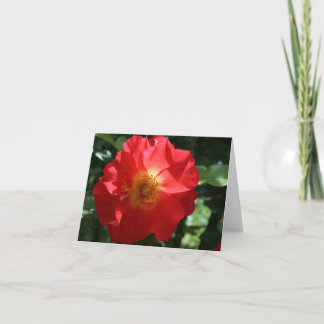 Blank Note Card: Majestic Rose Card