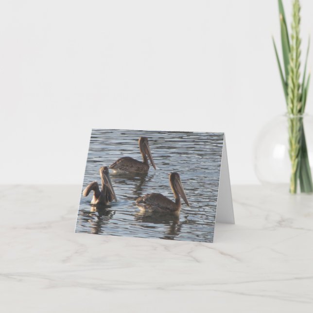Blank Note Card--Pelicans Card (Front)
