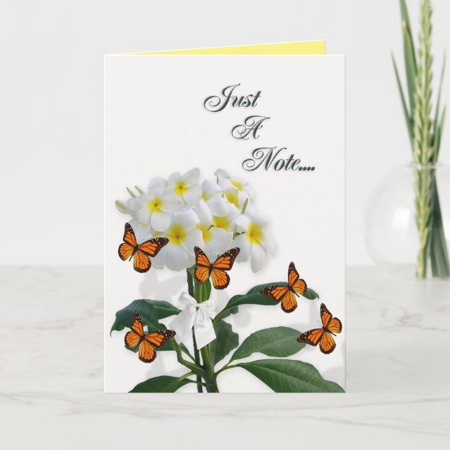 Blank note card plumeria and butterflies (Front)