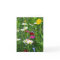 Blank Note Card: Spring Wildflowers