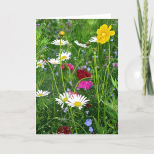 Blank Note Card: Spring Wildflowers Card