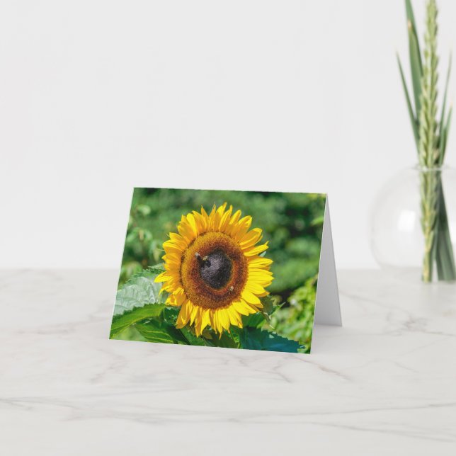 Blank Note Card - Vermont Sunflower (Front)