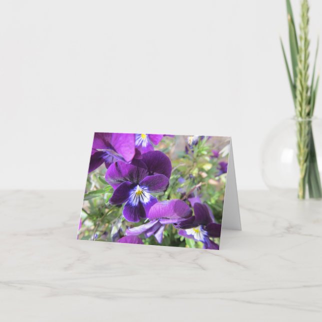 Blank Note Card--Violets Card (Front)