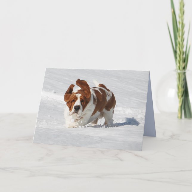 Blank Note Card w/Beautiful Basset Hound (Front)