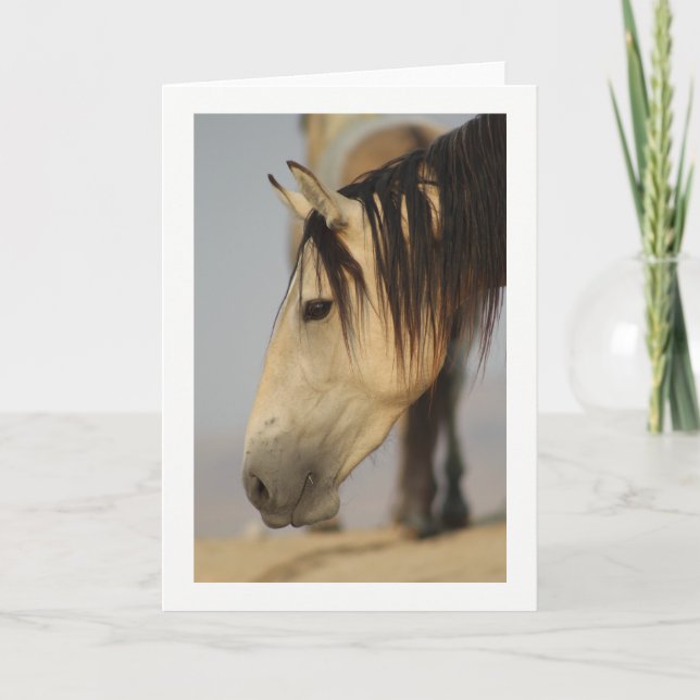 Blank Note Card with a wild horse pictured. (Front)
