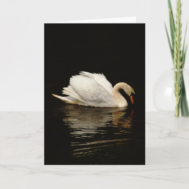 Blank Note Card with Beautiful Swan (Front)