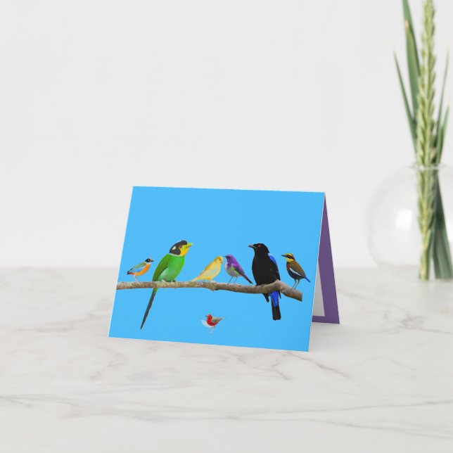 blank note card with birds and colour (Front)