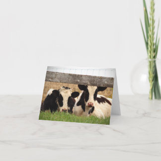 Blank note card with cows