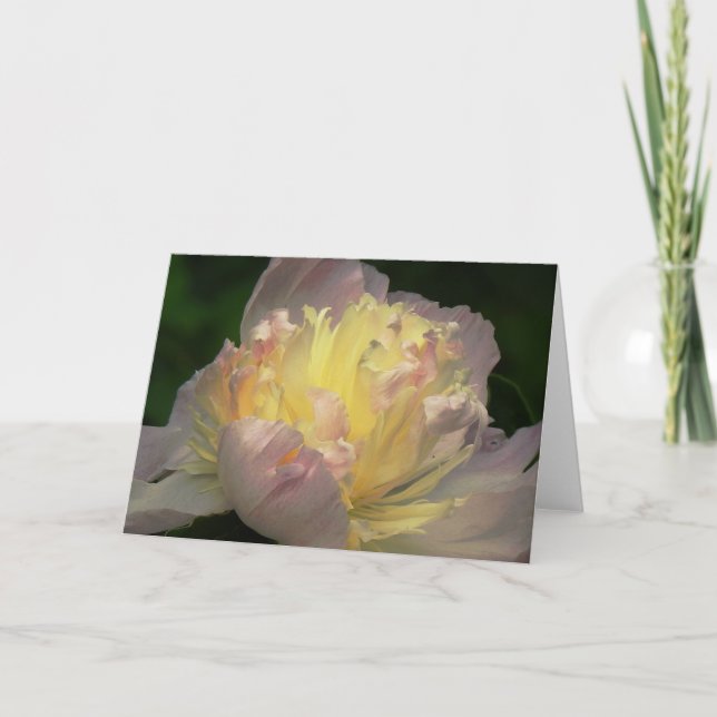 Blank Note Card with Peony Blossom (Front)