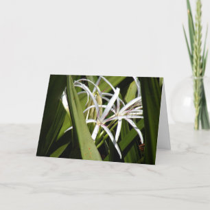 Blank Note Card with Wild Swamp Lilies