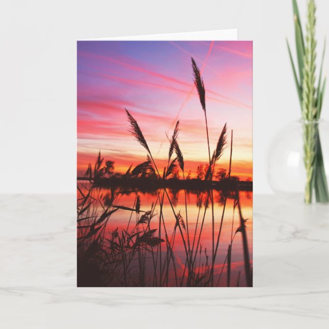 Blank Note Greeting Card (Front)