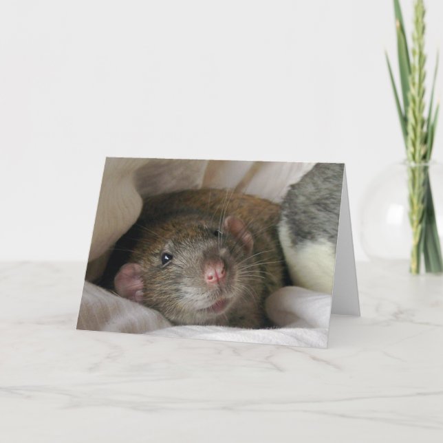 Blank Rat Card (Front)