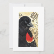 Blank - Red Winged Black Bird Watercolor