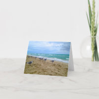 Blank Seagull Beach Card