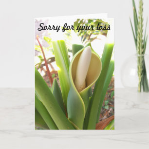 Blank Sympathy Card with Philodendron bloom