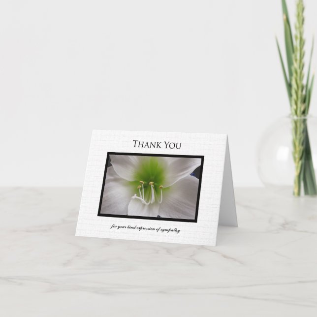 Blank Sympathy Thank You Note Card - Amaryllis (Front)
