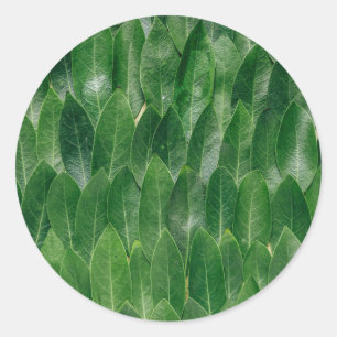 Blank Template Green Leaf Pattern Print Classic Round Sticker