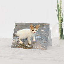 BLANK THANK YOU SO MEOW! THANK YOU CARD