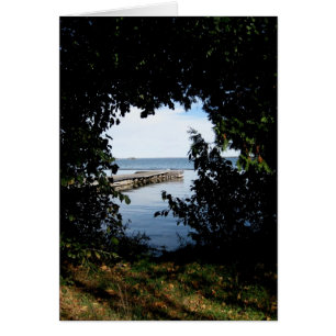 Blank_Tree Window Lake View