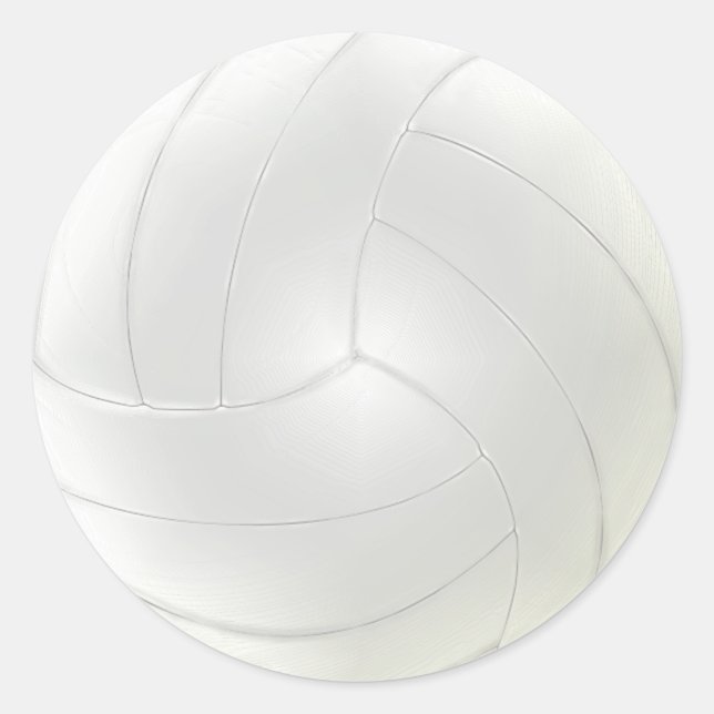 Blank Volleyball Stickers to Hand Write Your Names (Front)