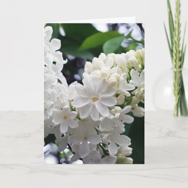Blank White Lilac Card (Front)