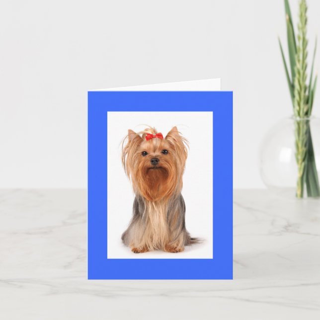 Blank Yorkshire Terrier Puppy Dog Notecard (Front)