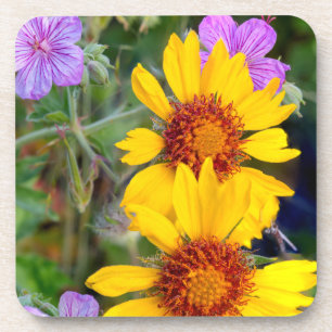 Blanket flower aka brown eyed susan and stick coaster