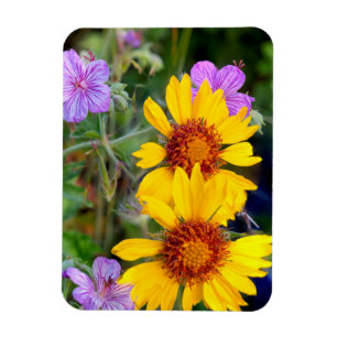 Blanket flower aka brown eyed susan and stick magnet