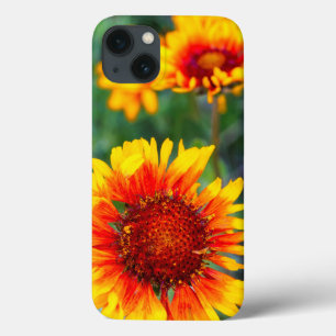 Blanket flower aka brown eyed susan in Glacier iPhone 13 Case