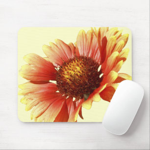 Blanket Flower Gaillardia Close-Up Photograph Mouse Pad