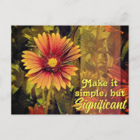 Blanket Flower Keep it Simple but Significant