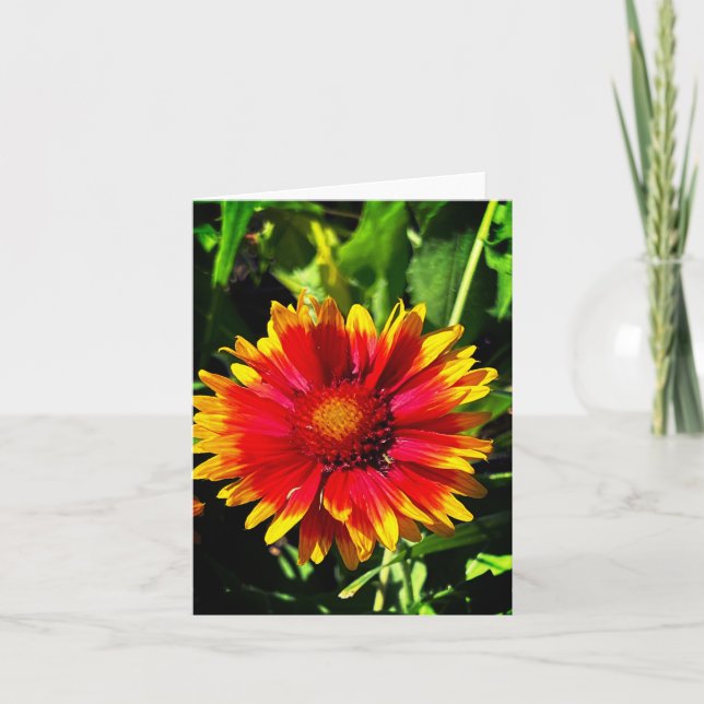 Blanket Flower Note Card (Front)