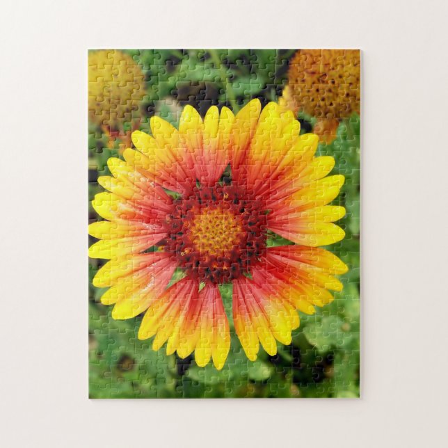 Blanket Flower Puzzle (Vertical)