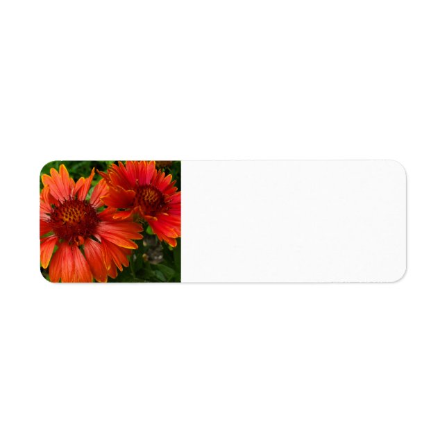 Blanket Flower Return Address Label (Front)