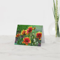 Blanket Flowers Watercolor Note Card